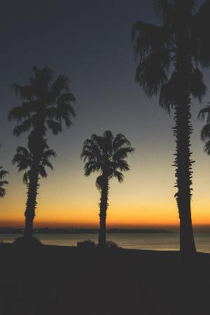 72 - VtUSsmR.jpg Android HD Nature Wallpapers